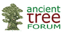 Ancient tree forum