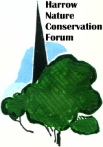 HNCF logo